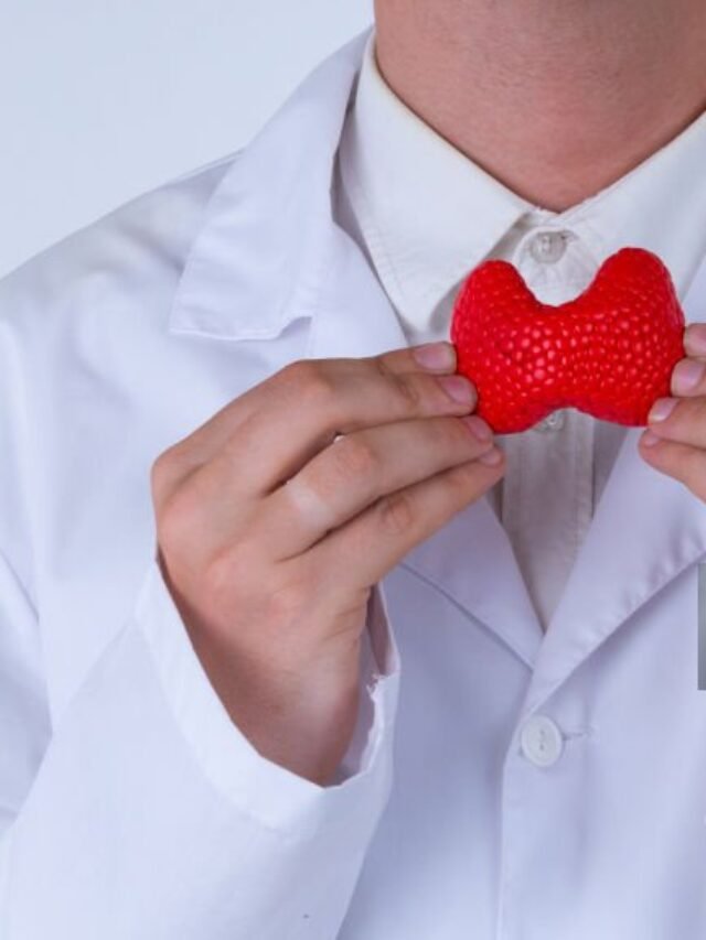 Male doctor holding mockup thyroid gland. Help and care concept