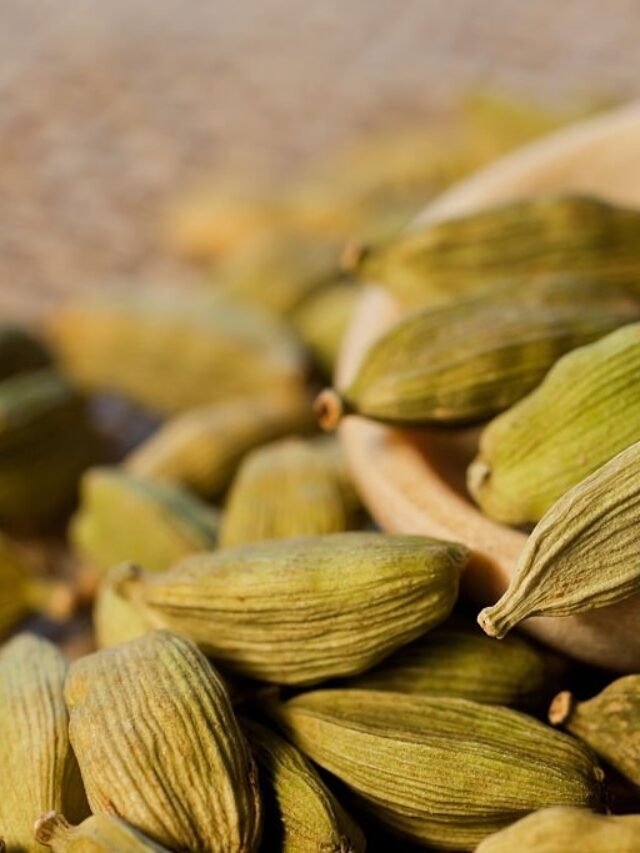 Cardamom spice in wooden spoon closeup